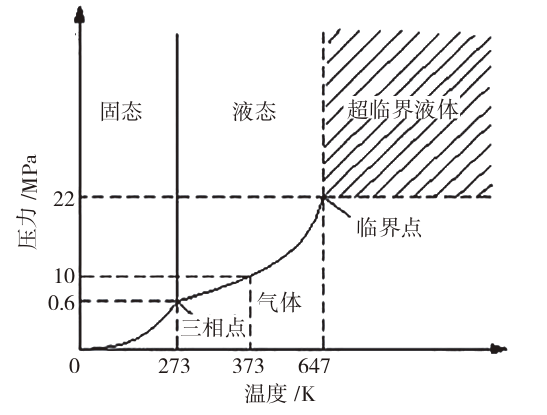 玄伟伟2.png